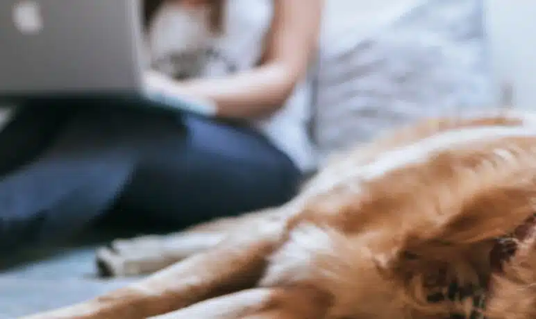 tips bij thuiswerken kopie 2